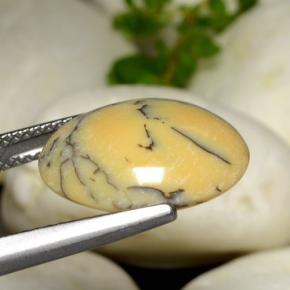 Agate dendritique multicolore naturelle coupe ovale, 6,18 ct, opaque