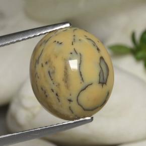 Dendritique Agate Multicolore naturelle Coupe ovale, 6.05 ct, Opaque