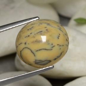 Dendritique Agate Multicolore naturelle Coupe ovale, 6.05 ct, Opaque