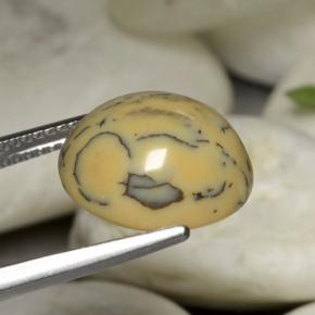 Dendritique Agate Multicolore naturelle Coupe ovale, 6.05 ct, Opaque