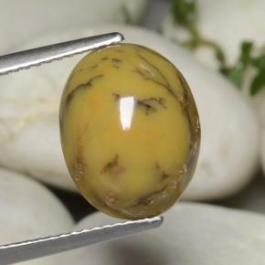 Agate dendritique multicolore naturelle coupe ovale, 5,40 ct, opaque