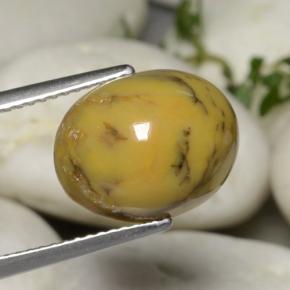 Agate dendritique multicolore naturelle coupe ovale, 5,40 ct, opaque