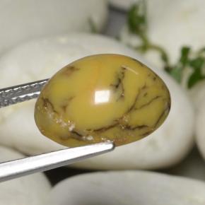 Agate dendritique multicolore naturelle coupe ovale, 5,40 ct, opaque
