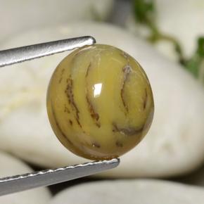 Agate dendritique multicolore naturelle coupe ovale, 2,63 ct, opaque
