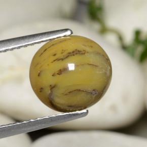 Agate dendritique multicolore naturelle coupe ovale, 2,63 ct, opaque