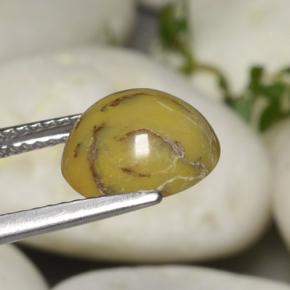 Agate dendritique multicolore naturelle coupe ovale, 2,63 ct, opaque