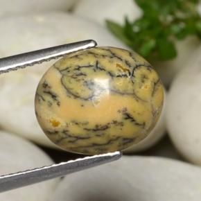 Agate dendritique multicolore naturelle coupe ovale, 3,86 ct, opaque