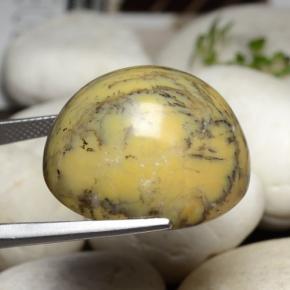 Dendritique Agate Multicolore naturelle Coupe ovale, 44.92 ct, Opaque