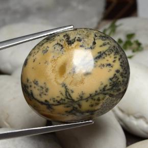 Agate dendritique multicolore naturelle coupe ovale, 45,37 ct, opaque