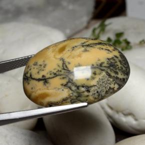 Agate dendritique multicolore naturelle coupe ovale, 45,37 ct, opaque