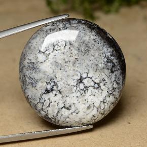 Agate dendritique multicolore naturelle coupe roude, 44,26 ct, opaque