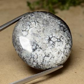 Agate dendritique multicolore naturelle coupe roude, 44,26 ct, opaque