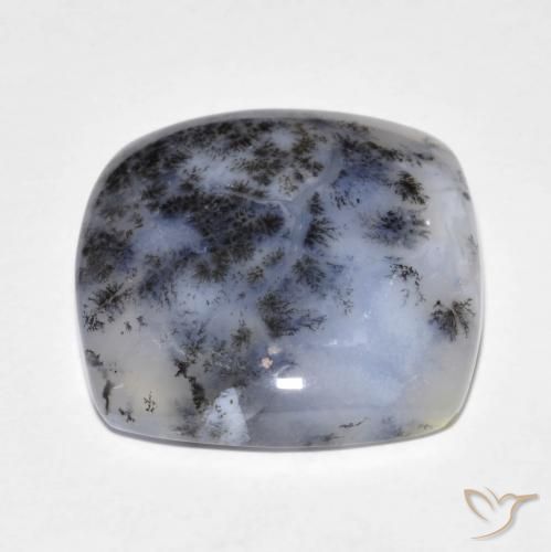 Dendritique Agate Multicolore naturelle Coussin, 18.18 ct, Translucide