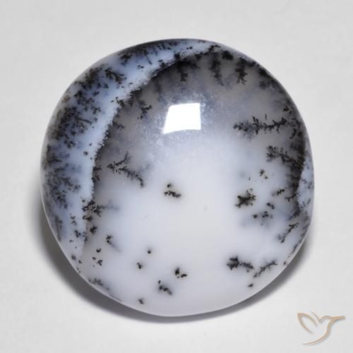 Dendritique Agate Multicolore naturelle Coupe roude, 14.83 ct, Opaque