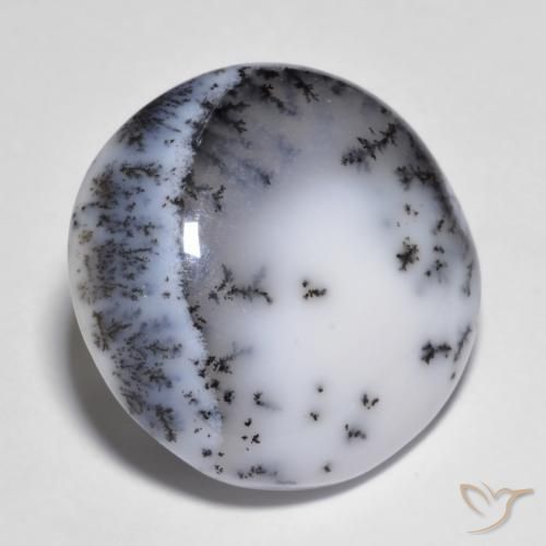 Dendritique Agate Multicolore naturelle Coupe roude, 14.83 ct, Opaque