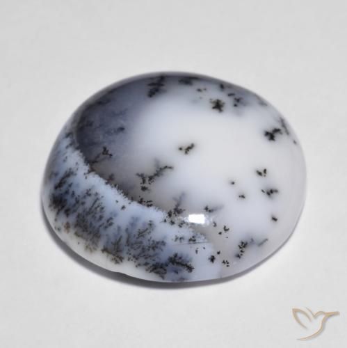 Dendritique Agate Multicolore naturelle Coupe roude, 14.83 ct, Opaque
