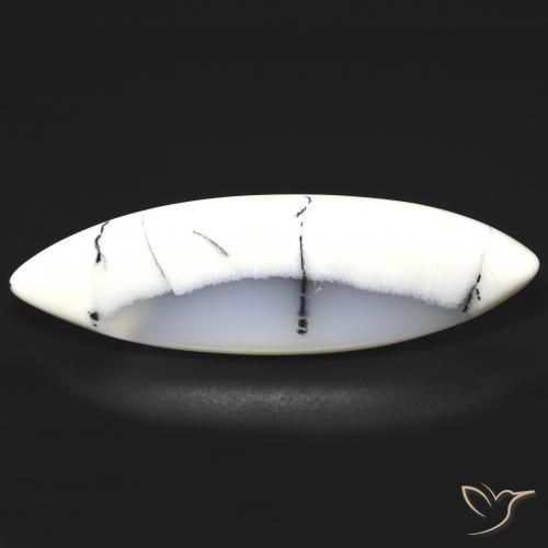 Dendritique Agate Blanc avec noir naturelle Marquise, 19.93 ct, Translucide