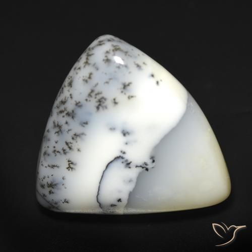 12.51ct Naturel Blanc avec noir Dendritique Agate, Trillion, Translucide