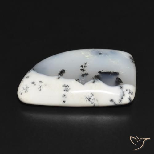 Dendritique Agate Blanc avec noir naturelle Fantaisie, 20.32 ct, Opaque