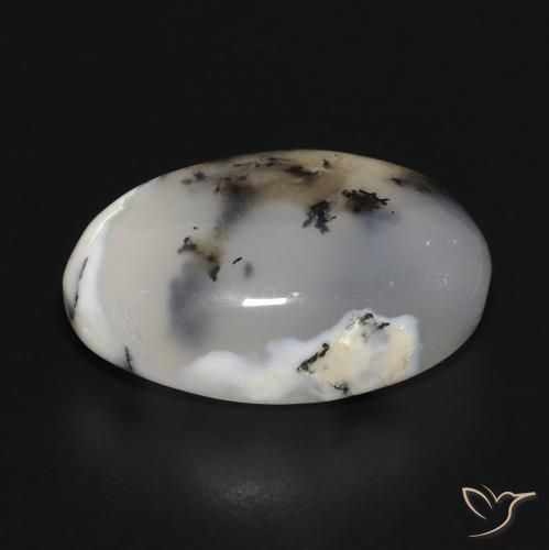 Dendritique Agate Blanc avec noir naturelle ovale, 10.81 ct, Translucide