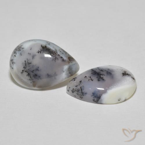 Shop natural 15.51ct Blanc avec noir Dendritique Agate gems, En forme de poire, from Inde at GemSelect. In stock, global shipping!