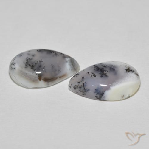 Shop natural 15.51ct Blanc avec noir Dendritique Agate gems, En forme de poire, from Inde at GemSelect. In stock, global shipping!