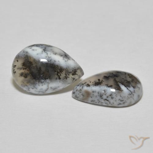 Shop natural 8.57ct Blanc avec noir Dendritique Agate gems, En forme de poire, from Inde at GemSelect. In stock, global shipping!