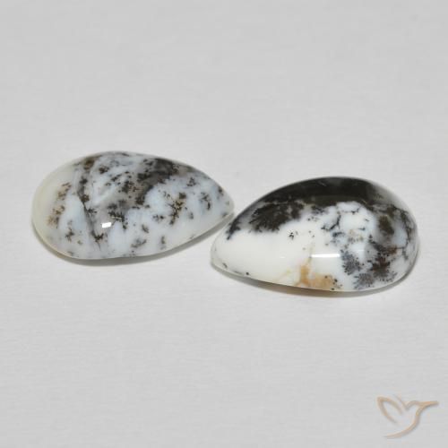 Shop natural 7.78ct Blanc avec noir Dendritique Agate gems, En forme de poire, from Inde at GemSelect. In stock, global shipping!