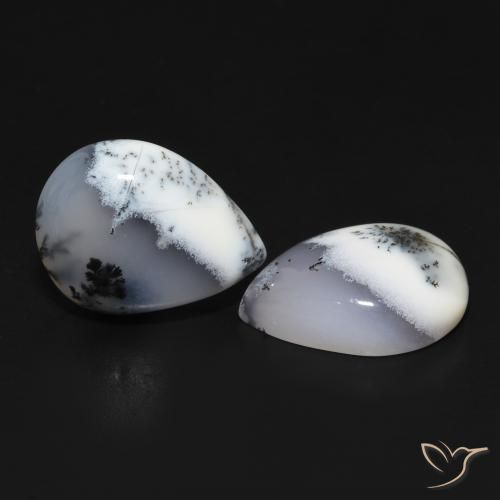 Shop natural 13.40ct Blanc avec noir Dendritique Agate gems, En forme de poire, from Inde at GemSelect. In stock, global shipping!