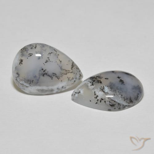 Shop natural 16.57ct Blanc avec noir Dendritique Agate gems, En forme de poire, from Inde at GemSelect. In stock, global shipping!