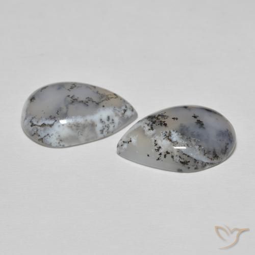 Shop natural 16.57ct Blanc avec noir Dendritique Agate gems, En forme de poire, from Inde at GemSelect. In stock, global shipping!