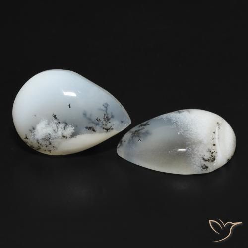 Shop natural 17.86ct Blanc avec noir Dendritique Agate gems, En forme de poire, from Inde at GemSelect. In stock, global shipping!