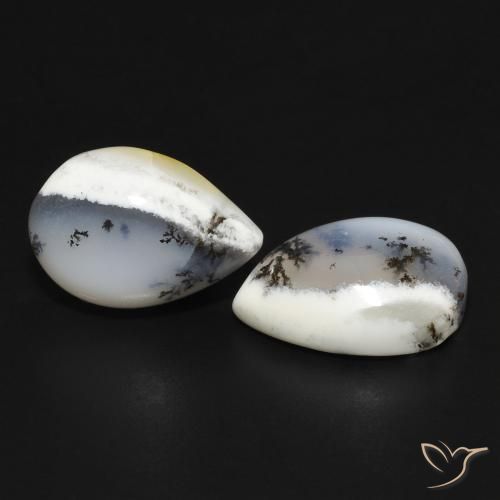 Shop natural 7.95ct Blanc avec noir Dendritique Agate gems, En forme de poire, from Inde at GemSelect. In stock, global shipping!