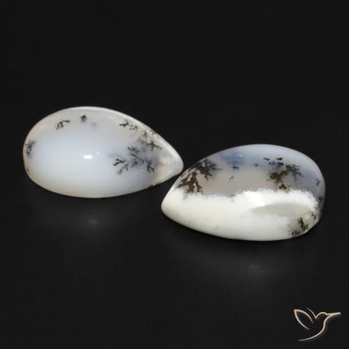 Shop natural 7.95ct Blanc avec noir Dendritique Agate gems, En forme de poire, from Inde at GemSelect. In stock, global shipping!