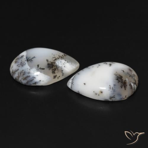 Shop natural 15.33ct Blanc avec noir Dendritique Agate gems, En forme de poire, from Inde at GemSelect. In stock, global shipping!