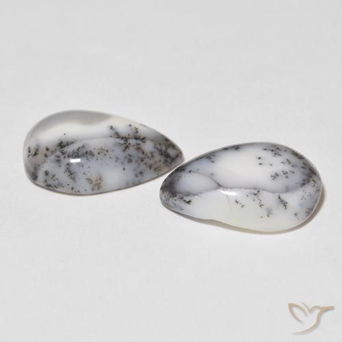 Shop natural 16.40ct Blanc avec noir Dendritique Agate gems, En forme de poire, from Inde at GemSelect. In stock, global shipping!