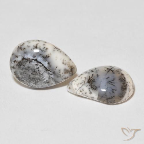 Shop natural 7.83ct Blanc avec noir Dendritique Agate gems, En forme de poire, from Inde at GemSelect. In stock, global shipping!