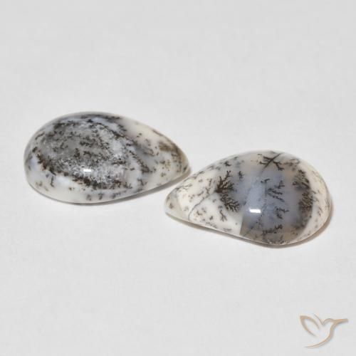 Shop natural 7.83ct Blanc avec noir Dendritique Agate gems, En forme de poire, from Inde at GemSelect. In stock, global shipping!