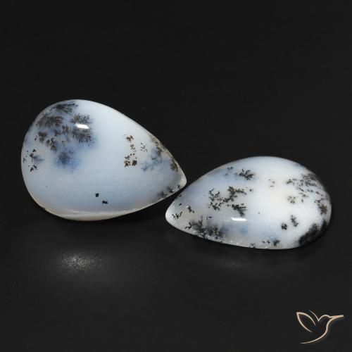 Shop natural 22.95ct Blanc avec noir Dendritique Agate gems, En forme de poire, from Inde at GemSelect. In stock, global shipping!