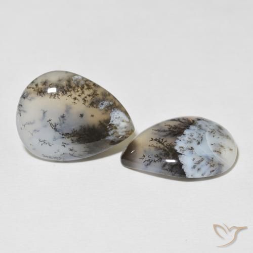 Shop natural 20.80ct Blanc multicolore Dendritique Agate gems, En forme de poire, from Inde at GemSelect. In stock, global shipping!