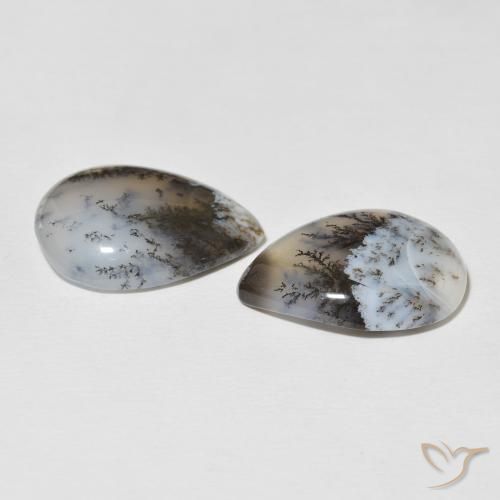 Shop natural 20.80ct Blanc multicolore Dendritique Agate gems, En forme de poire, from Inde at GemSelect. In stock, global shipping!