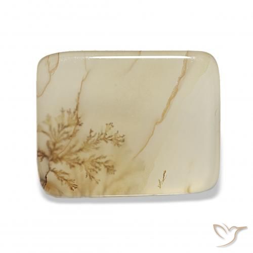 4.40ct Multicolore Dendritique Agate Pierres précieuses, Coussin, Transparent