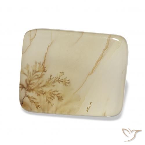 Dendritique Agate Multicolore naturelle Coussin, 4.40 ct, Transparent