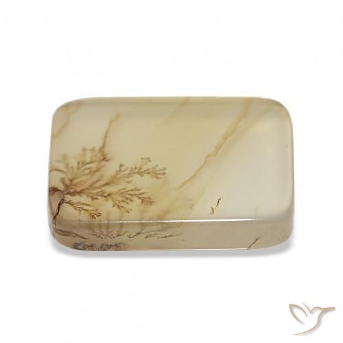 Dendritique Agate Multicolore naturelle Coussin, 4.40 ct, Transparent