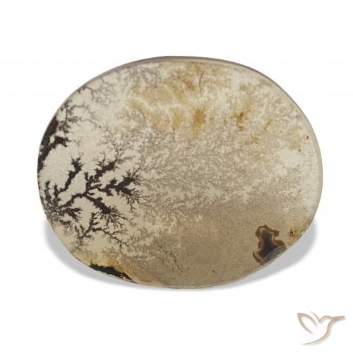 3.38ct Multicolore Dendritique Agate, ovale, Transparent