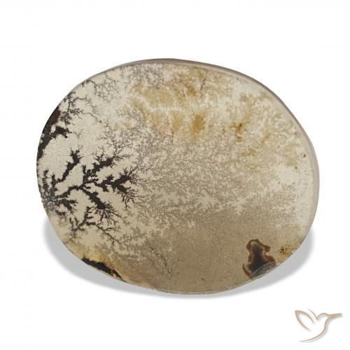 Dendritique Agate Multicolore naturelle ovale, 3.38 ct, Transparent