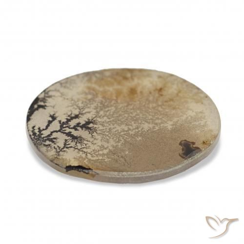 Dendritique Agate Multicolore naturelle ovale, 3.38 ct, Transparent
