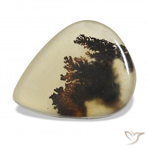 4.62ct Multicolore Dendritique Agate, En forme de poire, Transparent
