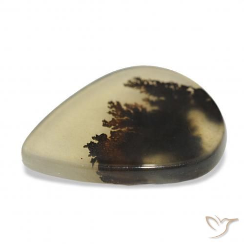 Dendritique Agate Multicolore naturelle En forme de poire, 4.62 ct, Transparent