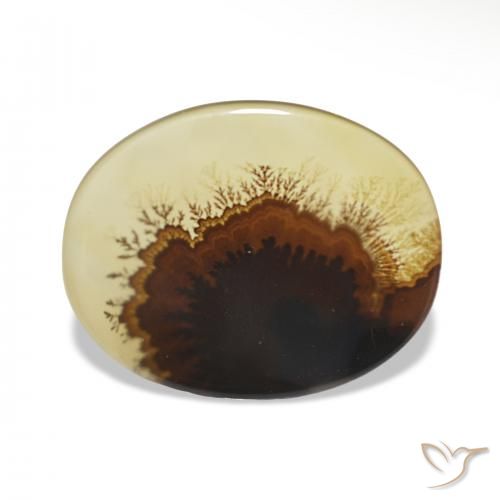 2.46ct Multicolore Dendritique Agate Pierres précieuses, ovale, Transparent